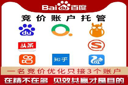 行业领先的SEM投放效果案例解析